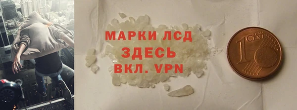 прущие грибы Балахна