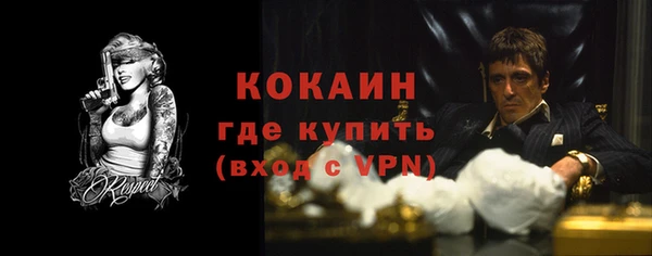 прущие грибы Балахна