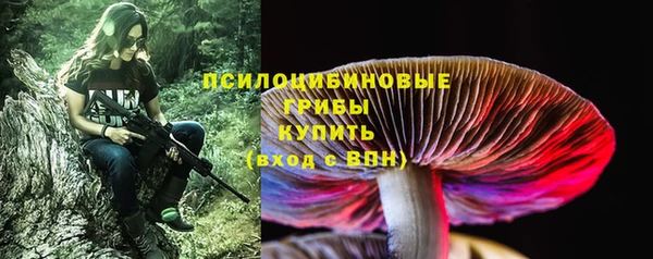 прущие крисы Баксан