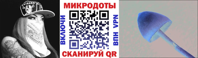 купить закладку  блэк спрут ССЫЛКА  Галлюциногенные грибы прущие грибы  Соль-Илецк 