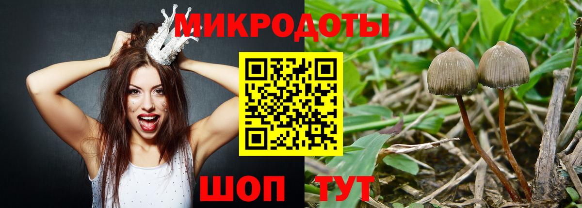 Соль-Илецк  Галлюциногенные грибы прущие грибы  Вход с VPN 